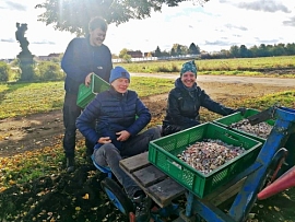 Бамбергские овощеводы как объект научного  исследования