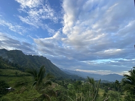 Новая научная площадка для дискуссий исследователей Юго-Восточной Азии