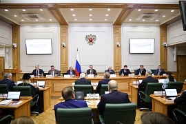 Директор МАЭ РАН выступил в Совете Федерации