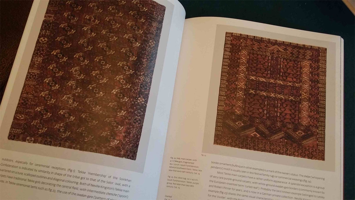 Moniek Vanden Berghe monograph