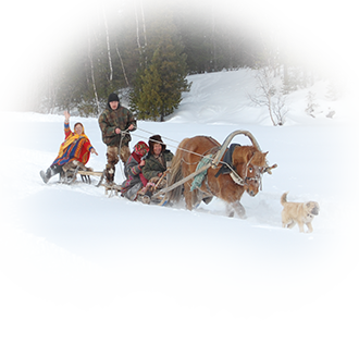 Вороний день