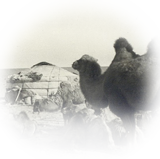 Квест «Новый год круглый год»