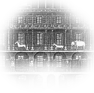 В Кунсткамеру поступило чучело лошади Петра Великого Лизетты