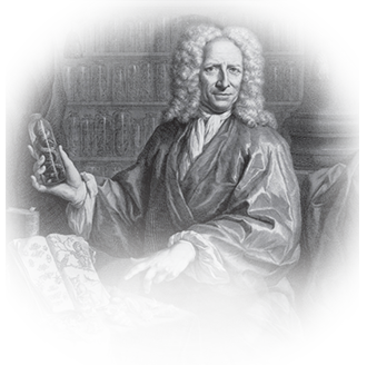 Альберт Себа