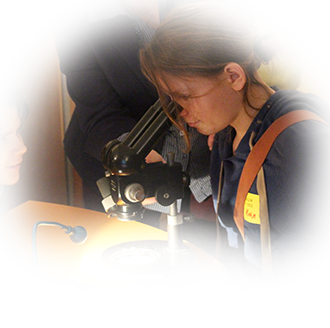 Лицом к лицу