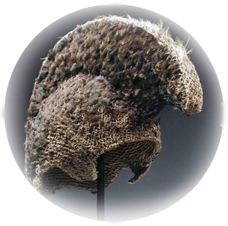 245 лет назад в Кунсткамеру передали коллекцию Кука