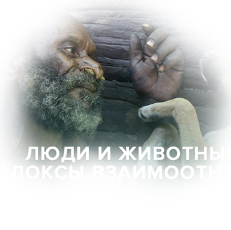Международная конференция «Люди и животные: парадоксы взаимоотношений»