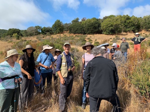 Американский семинар
