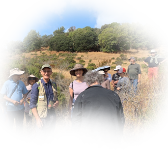 Американский семинар