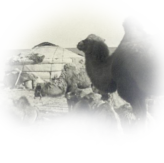 Маршрутный лист «Новый год круглый год!»