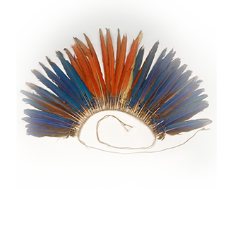 Первая российская научная экспедиция в Бразилию