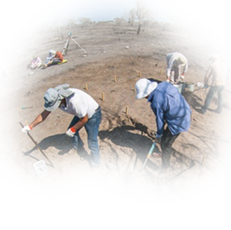 Американский семинар