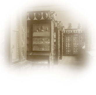 130 лет со дня открытия для публики первой экспозиции МАЭ