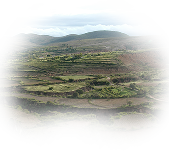 Онлайн-заседание Американского семинара