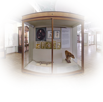 Авторская экскурсия А.Б. Радзюн