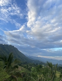 Исследователи Юго-Восточной Азии встретились на научных чтениях Восточного факультета СПбГУ