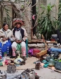 Эзотерический шаманский туризм в фокусе науки